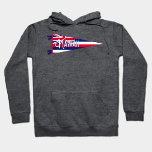 Hawaii Flag Pennant Hoodie